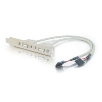 Adaptador 2x5 Pines H A 2 Usb 2.0 H Manhattan