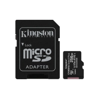 Memoria Microsd Kingston Canvas Plus 256gb C10 100mbps 2 En 1